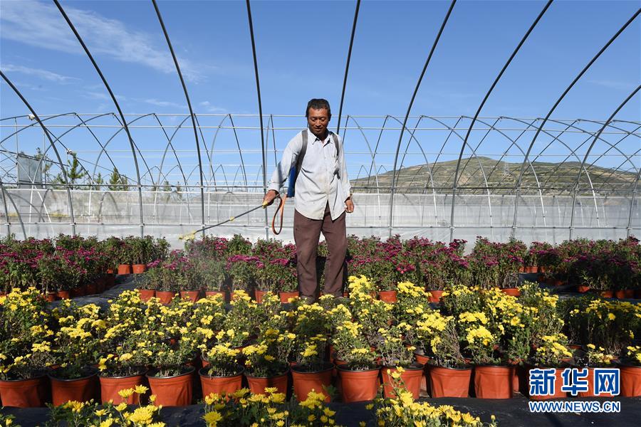 （新華全媒頭條·走向我們的小康生活·圖文互動）（10）“苦甲”不再，“甘味”綿長——脫貧攻堅的甘肅味道